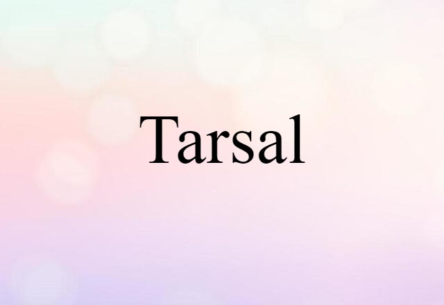 tarsal