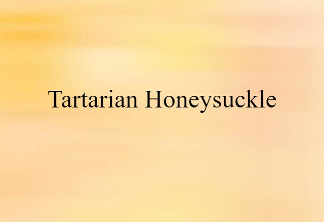 Tartarian honeysuckle