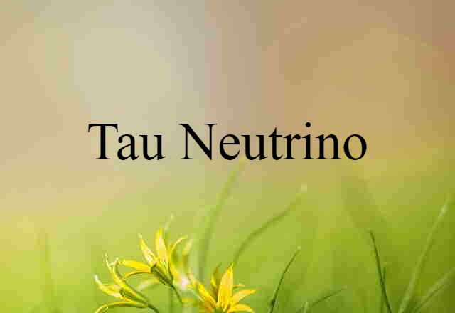 Tau Neutrino (noun) Definition, Meaning & Examples