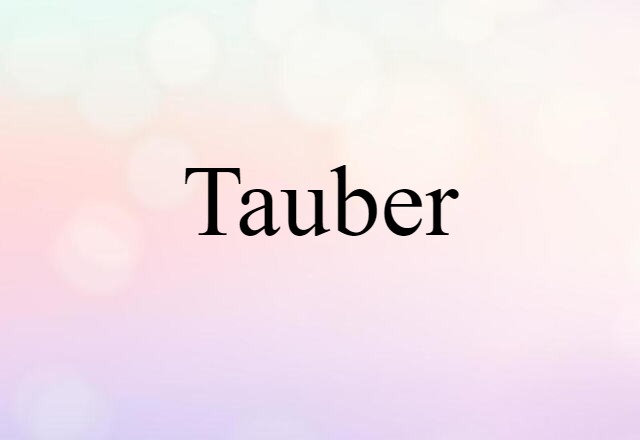 Tauber (noun) Definition, Meaning & Examples