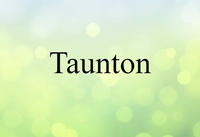 Taunton (noun) Definition, Meaning & Examples