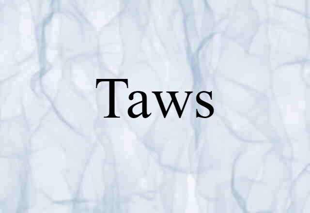 Taws (noun) Definition, Meaning & Examples