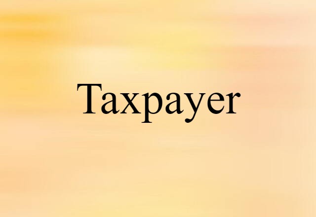 Taxpayer (noun) Definition, Meaning & Examples