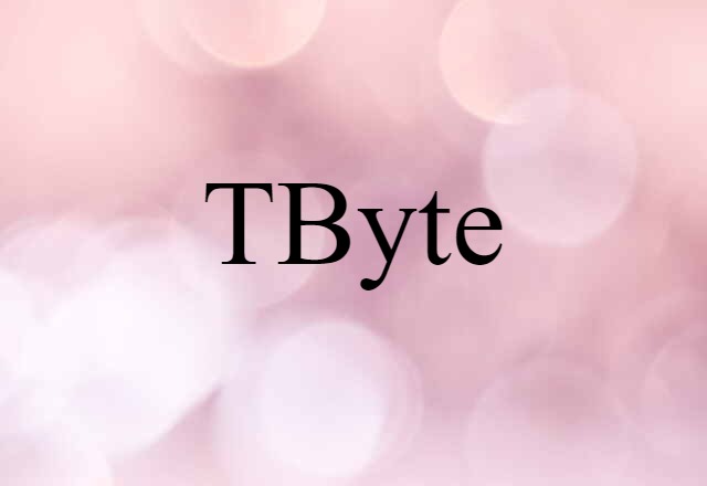 TByte (noun) Definition, Meaning & Examples