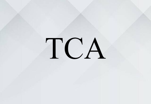 TCA (noun) Definition, Meaning & Examples