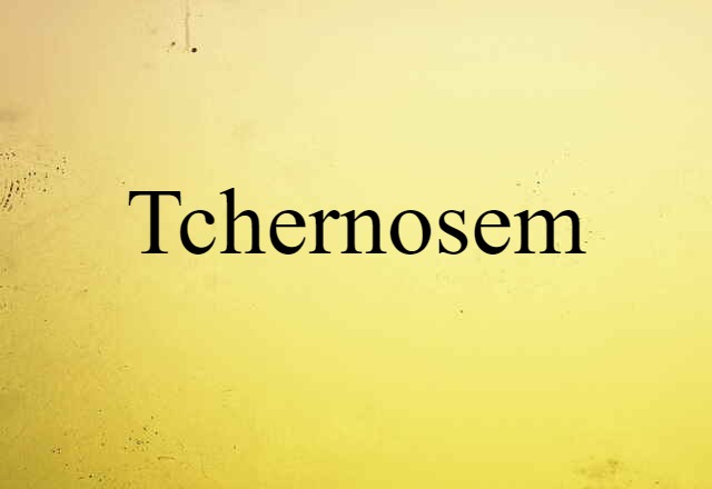 Tchernosem (noun) Definition, Meaning & Examples