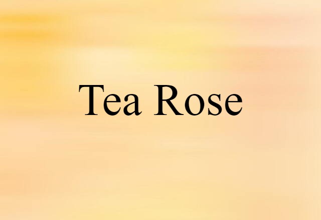 tea rose