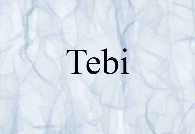 Tebi (noun) Definition, Meaning & Examples