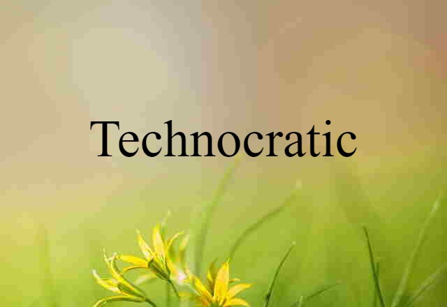 technocratic