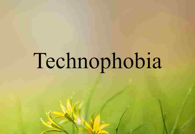 Technophobia (noun) Definition, Meaning & Examples