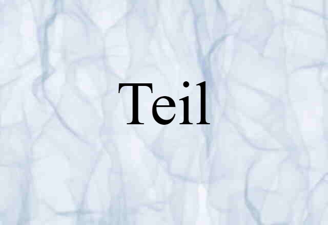 Teil (noun) Definition, Meaning & Examples