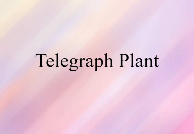 telegraph plant