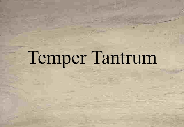 Temper Tantrum (noun) Definition, Meaning & Examples