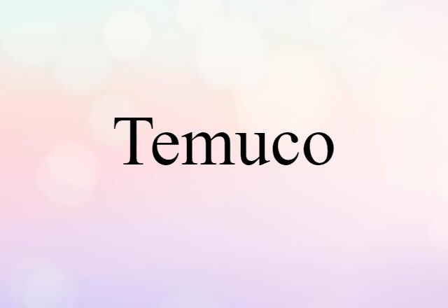 Temuco (noun) Definition, Meaning & Examples