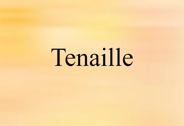 Tenaille (noun) Definition, Meaning & Examples