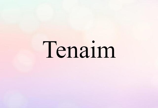 Tenaim (noun) Definition, Meaning & Examples