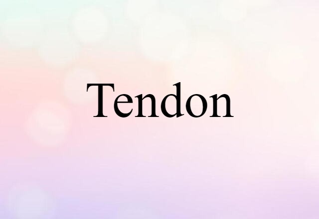 Tendon (noun) Definition, Meaning & Examples