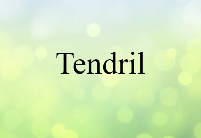 tendril