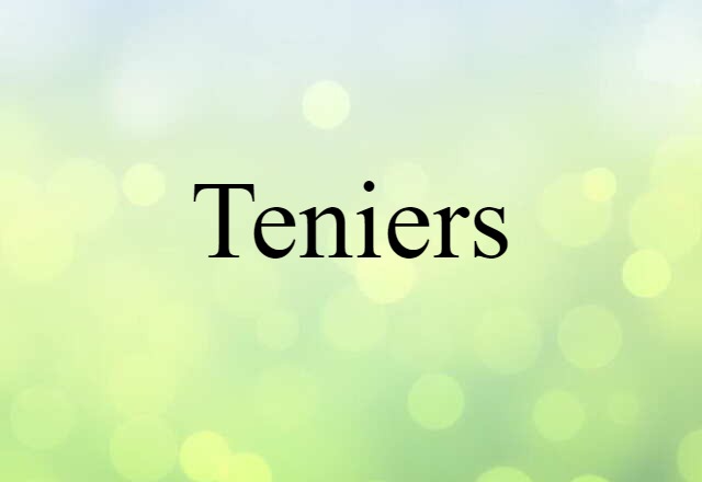 Teniers (noun) Definition, Meaning & Examples