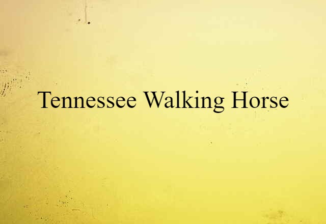 Tennessee walking horse