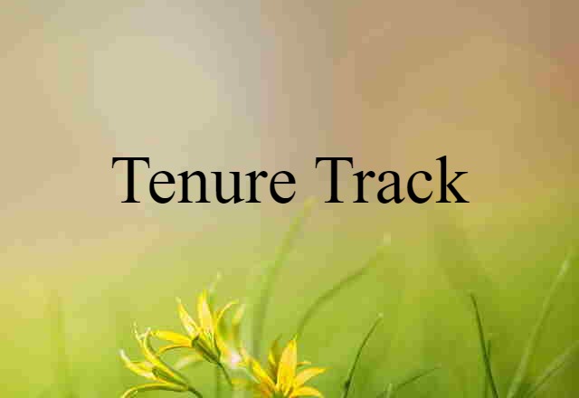 tenure-track