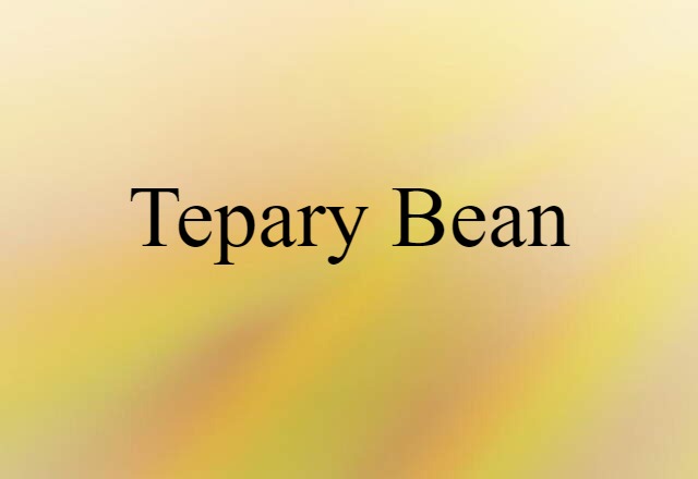 Tepary Bean (noun) Definition, Meaning & Examples