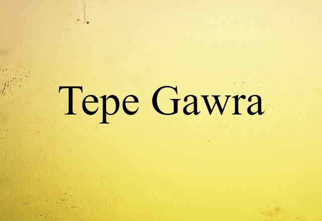 Tepe Gawra (noun) Definition, Meaning & Examples