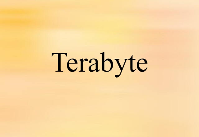 Terabyte (noun) Definition, Meaning & Examples