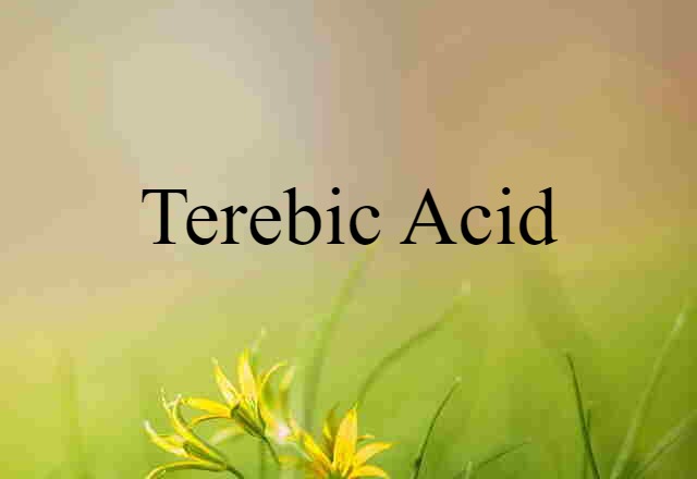 Terebic Acid (noun) Definition, Meaning & Examples