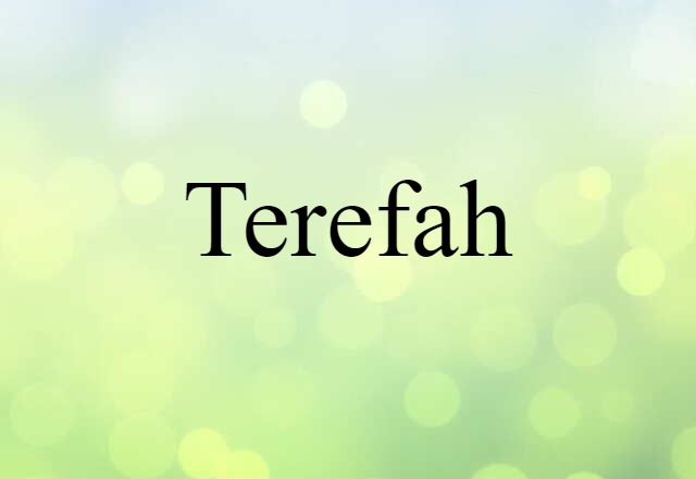 Terefah (noun) Definition, Meaning & Examples