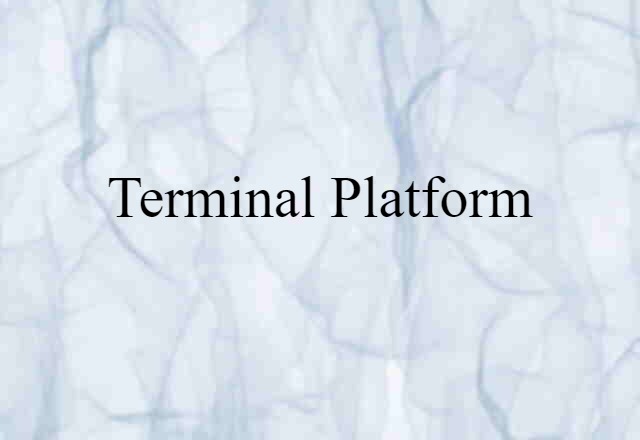 Terminal Platform (noun) Definition, Meaning & Examples