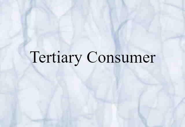 tertiary consumer