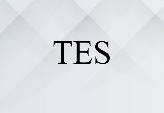 TES (noun) Definition, Meaning & Examples