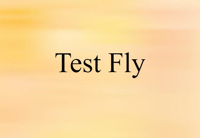 Test-fly (noun) Definition, Meaning & Examples