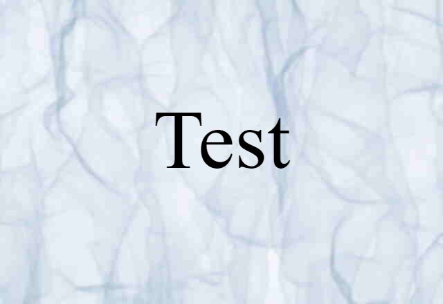 Test (noun) Definition, Meaning & Examples