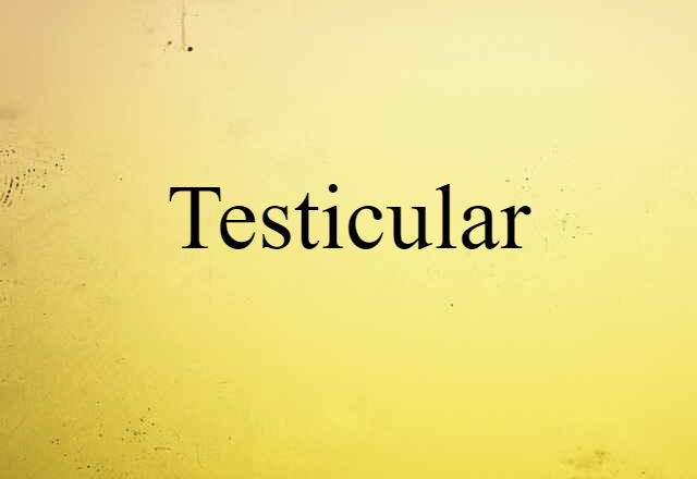 Testicular (noun) Definition, Meaning & Examples