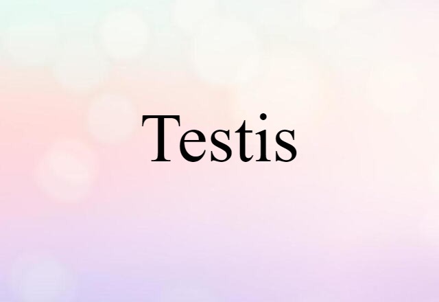 testis