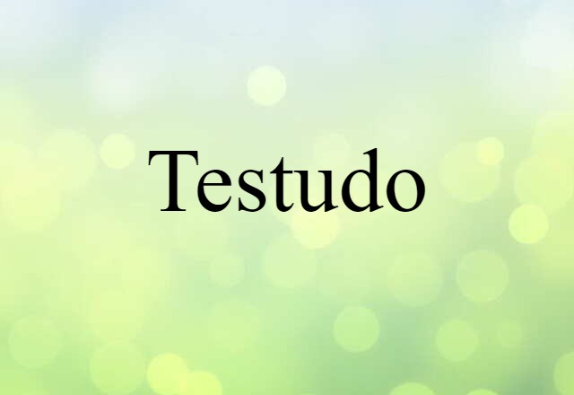 Testudo (noun) Definition, Meaning & Examples