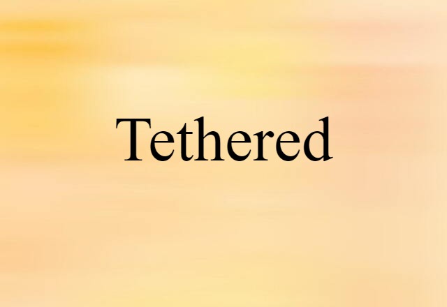 Tethered (noun) Definition, Meaning & Examples