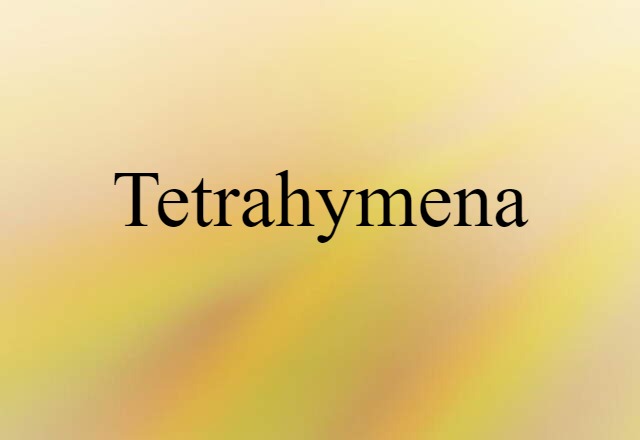 Tetrahymena (noun) Definition, Meaning & Examples