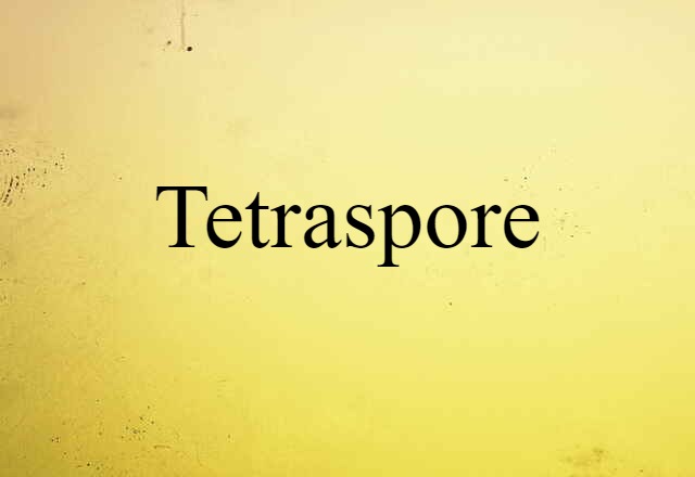 Tetraspore (noun) Definition, Meaning & Examples