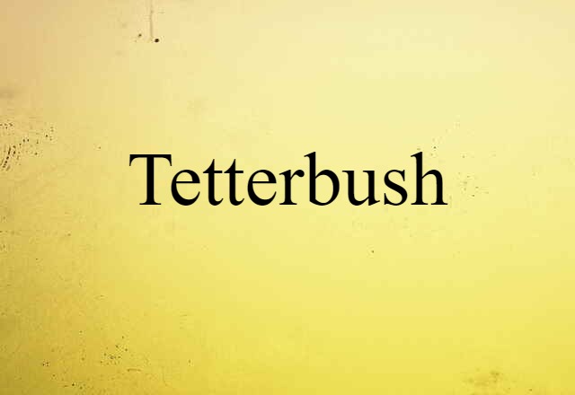 Tetterbush (noun) Definition, Meaning & Examples