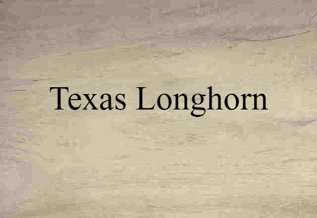 Texas longhorn