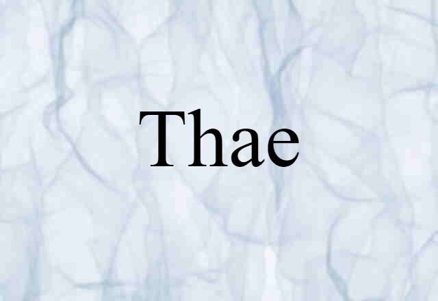 Thae (noun) Definition, Meaning & Examples