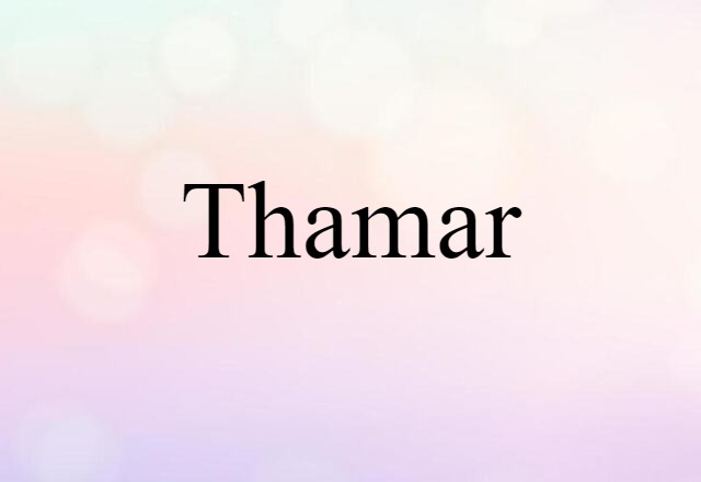 Thamar (noun) Definition, Meaning & Examples