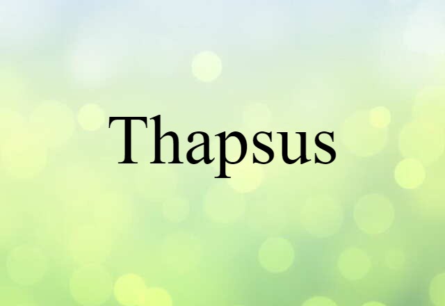 Thapsus