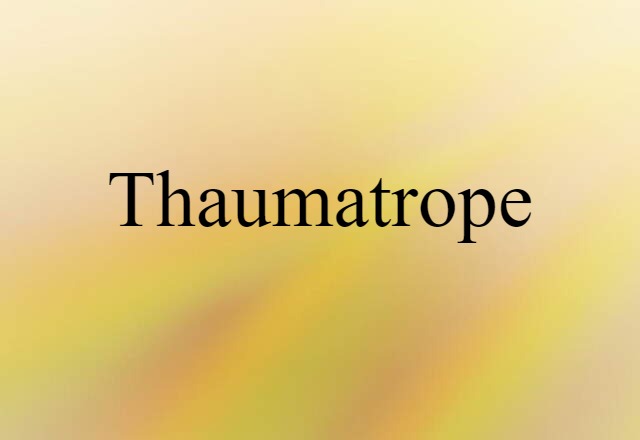 thaumatrope