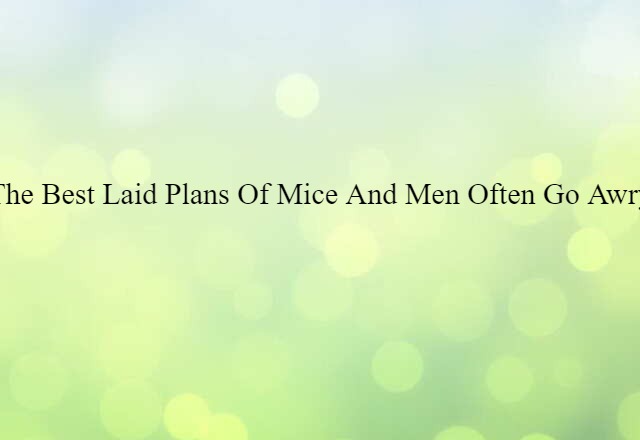 The best laid plans of mice and men often go awry