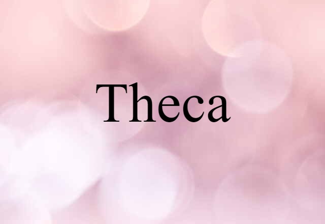 theca