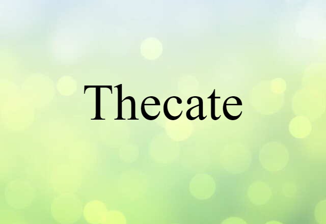 Thecate (noun) Definition, Meaning & Examples